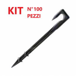 Kit n° 100 Picchetti reggi...